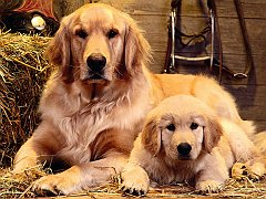 Family Portrait